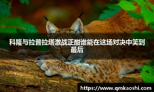 佰富彩主页